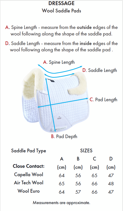 Hvid Premier Equine European Merino Dressurunderlag Natur - Premier Equine Dressur - 0732068262914