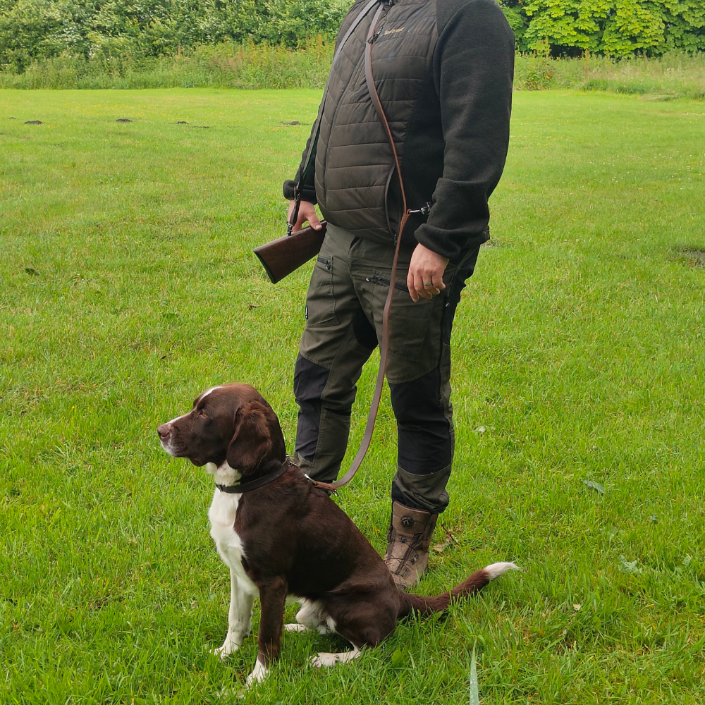 Trins Dressur Line Læder 200 240cm 22mm 200x22 - Profgear Dressur